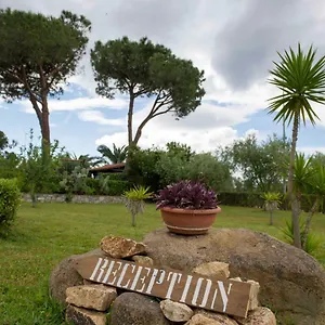 Le Mimose Apartment